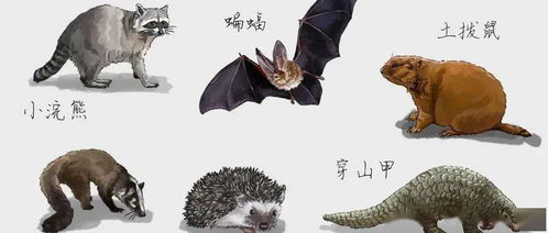 枪响之后，定无赢家 拒食野味，健康你我