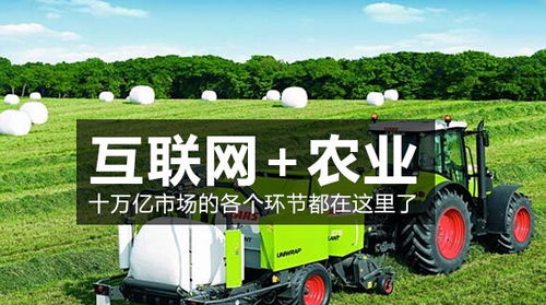 从不懂种植到愁嫁娶 农村青年的生存困境与出路