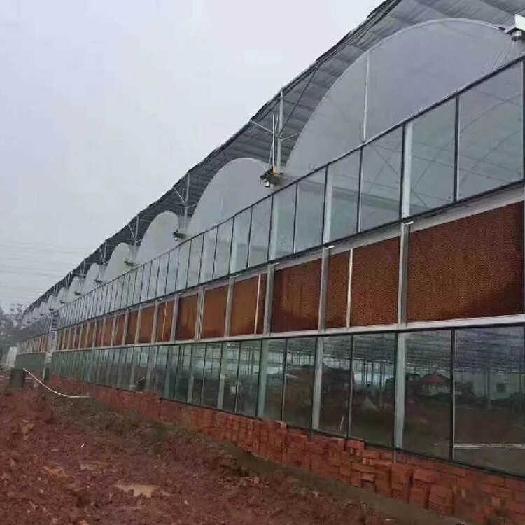 天津玻璃温室造价全解析 从投资门槛到农产品盈利之道