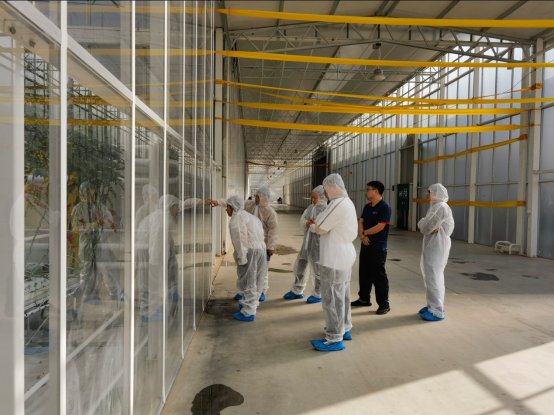 赤峰市农牧局 科技赋能，筑牢农产品种植“压舱石”