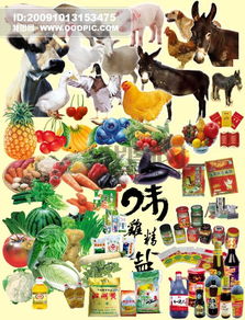 超市选购指南 家禽、家畜、蔬菜、水果、调料及日常用品全解析